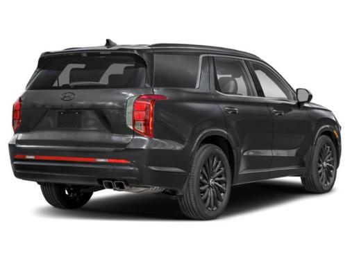 Abyss Black Pearl 2025 Hyundai PALISADE Calligraphy Night Edition