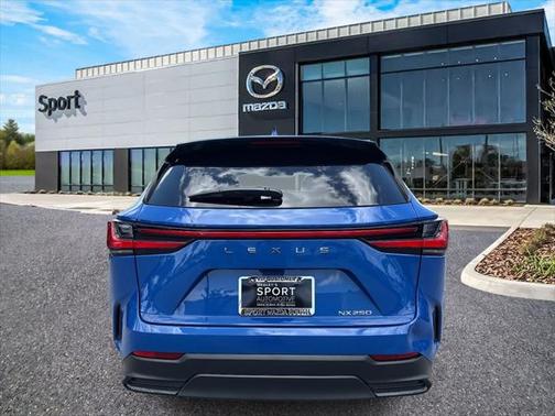 2024 Lexus NX 250 Base