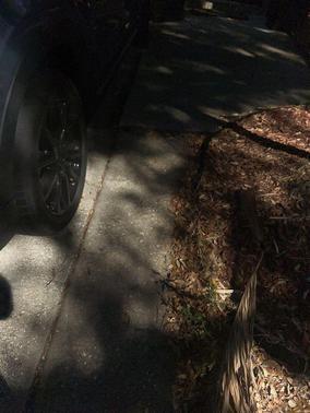 2023 Mazda CX-9 Carbon Edition