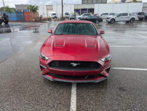 2019 Ford Mustang EcoBoost