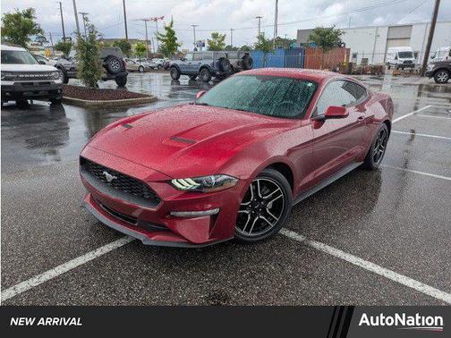 2019 Ford Mustang EcoBoost