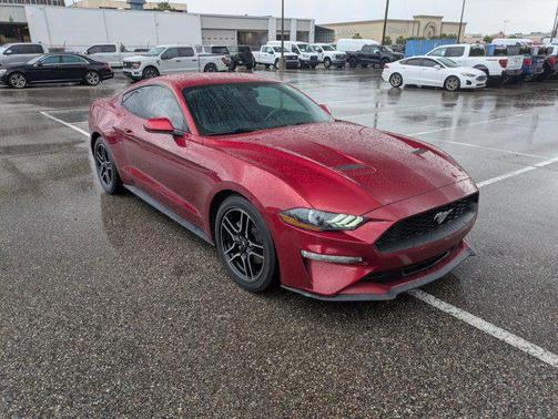 2019 Ford Mustang EcoBoost