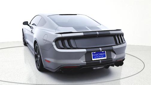 Magnetic Metallic 2019 Ford Mustang GT