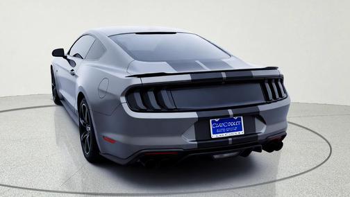 Magnetic Metallic 2019 Ford Mustang GT