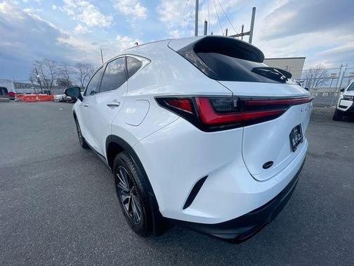 White 2024 Lexus NX 250 Base