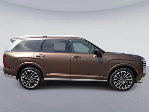 Earthy Brass Matte 2026 Hyundai PALISADE Calligraphy