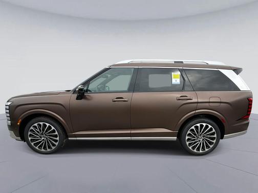 Earthy Brass Matte 2026 Hyundai PALISADE Calligraphy