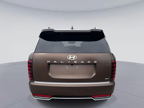 Earthy Brass Matte 2026 Hyundai PALISADE Calligraphy