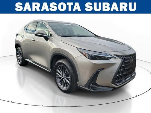 2023 Lexus NX 250 Base