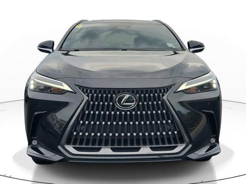 2024 Lexus NX 250 Premium