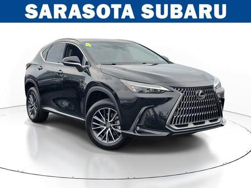 2024 Lexus NX 250 Premium