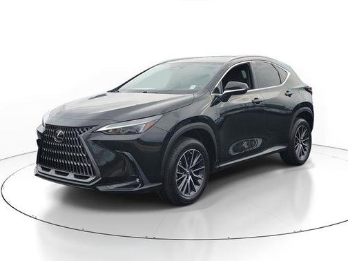 2024 Lexus NX 250 Premium