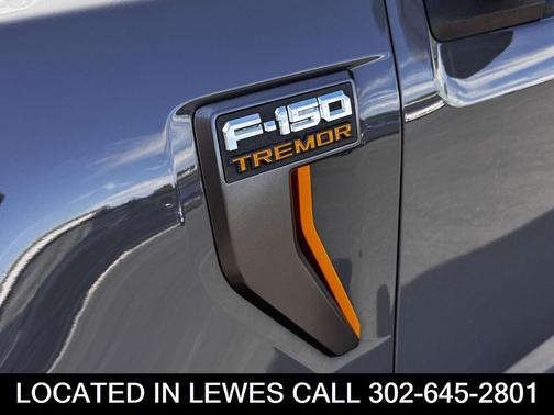 2021 Ford F-150 Tremor