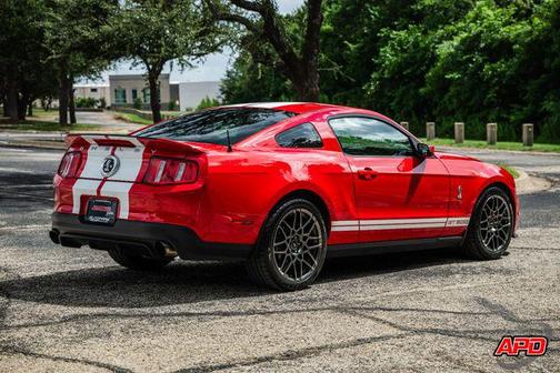 2010 Ford Shelby GT500 Base