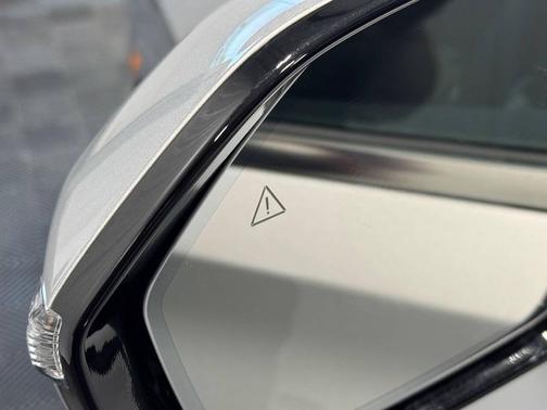 Typhoon Silver 2025 Hyundai PALISADE Calligraphy