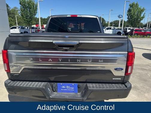 MAGNETIC 2019 Ford F-150 PLATINUM