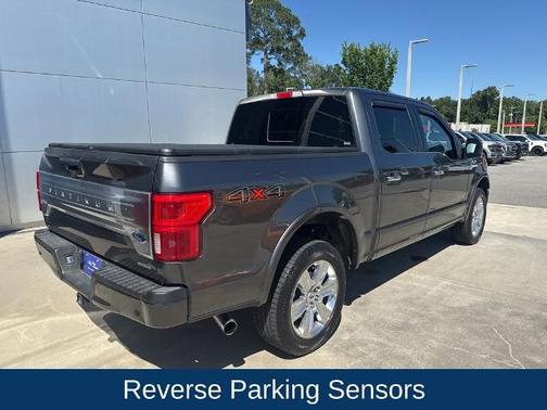 MAGNETIC 2019 Ford F-150 PLATINUM