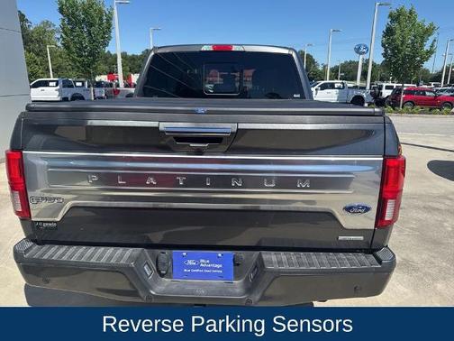 MAGNETIC 2019 Ford F-150 PLATINUM