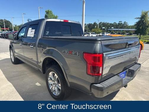 MAGNETIC 2019 Ford F-150 PLATINUM