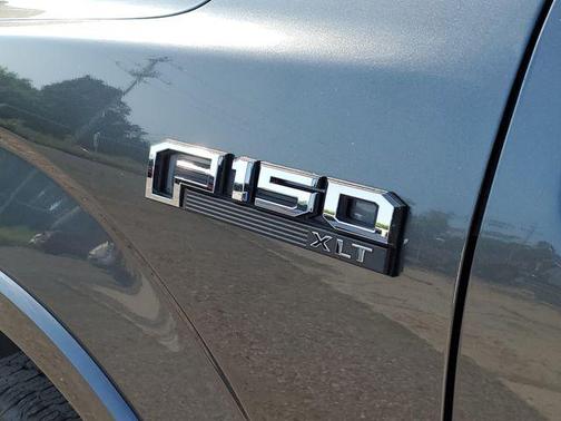 Magnetic 2020 Ford F-150 XLT