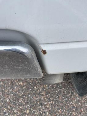 2015 RAM 2500 Big Horn