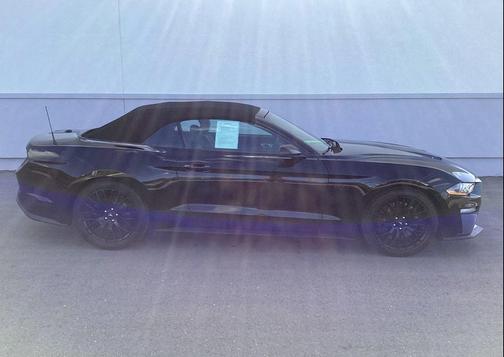 Shadow Black 2019 Ford Mustang GT Premium