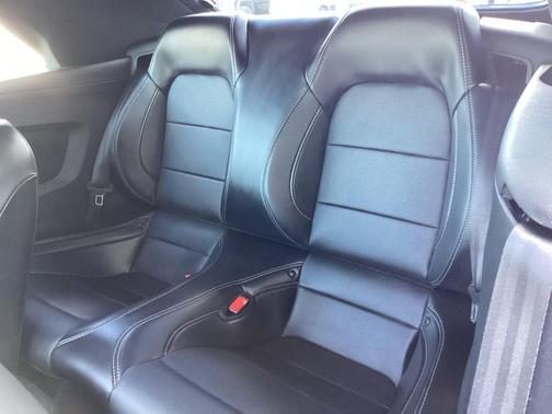 Shadow Black 2019 Ford Mustang GT Premium