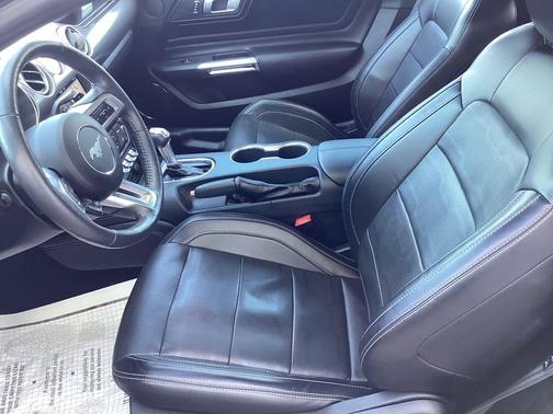 Shadow Black 2019 Ford Mustang GT Premium