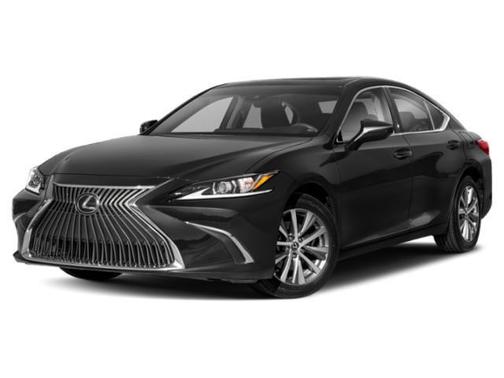 Gray Pearl 2021 Lexus ES 250 Base