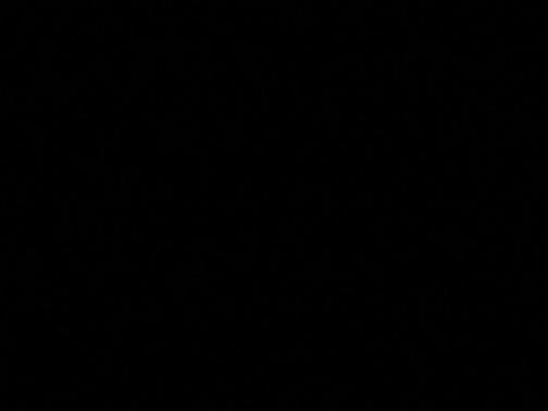 2025 Nissan Leaf SV PLUS