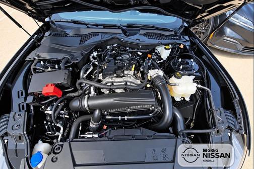 Shadow Black 2025 Ford Mustang EcoBoost