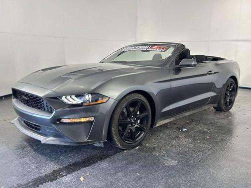 2019 Ford Mustang EcoBoost