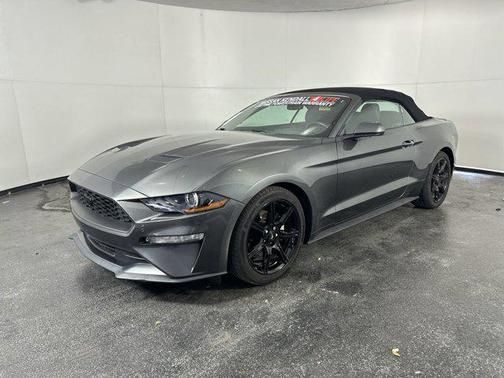 2019 Ford Mustang EcoBoost