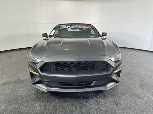 2019 Ford Mustang EcoBoost