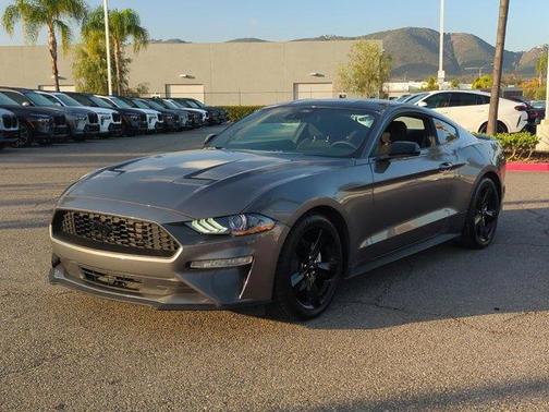 2022 Ford Mustang EcoBoost