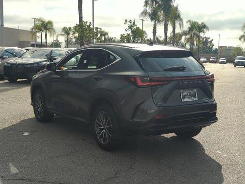 2024 Lexus NX 350h Base