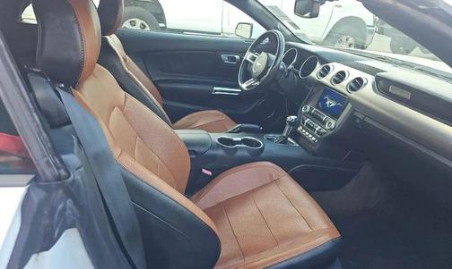 White Gold 2018 Ford Mustang EcoBoost Premium