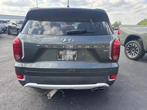 Rainforest 2022 Hyundai PALISADE SEL