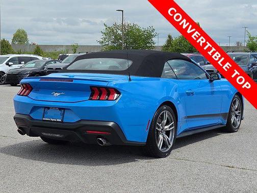 Grabber Blue Metallic 2024 Ford Mustang EcoBoost Premium