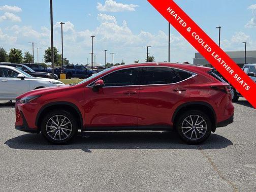 2024 Lexus NX 250 Premium