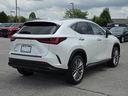 2022 Lexus NX 350 Luxury