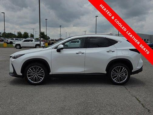 2022 Lexus NX 350 Luxury