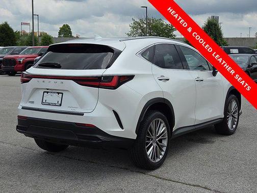 2022 Lexus NX 350 Luxury