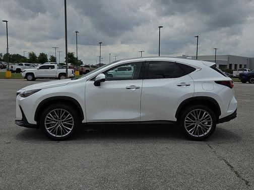 2022 Lexus NX 350 Luxury