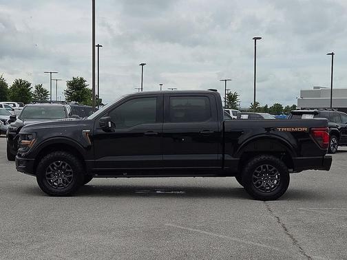 Agate Black Metallic 2025 Ford F-150 Tremor