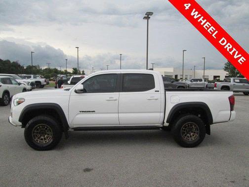 Ice Cap 2023 Toyota Tacoma Trail Edition
