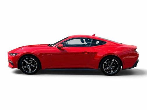 Race Red 2024 Ford Mustang EcoBoost