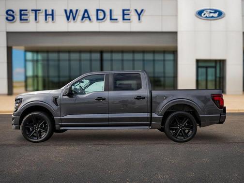 Gray Metallic 2026 Ford F-150 STX