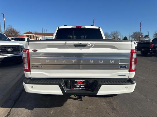 2022 Ford F-150 Platinum