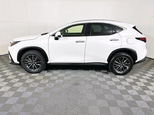 2024 Lexus NX 250 Premium